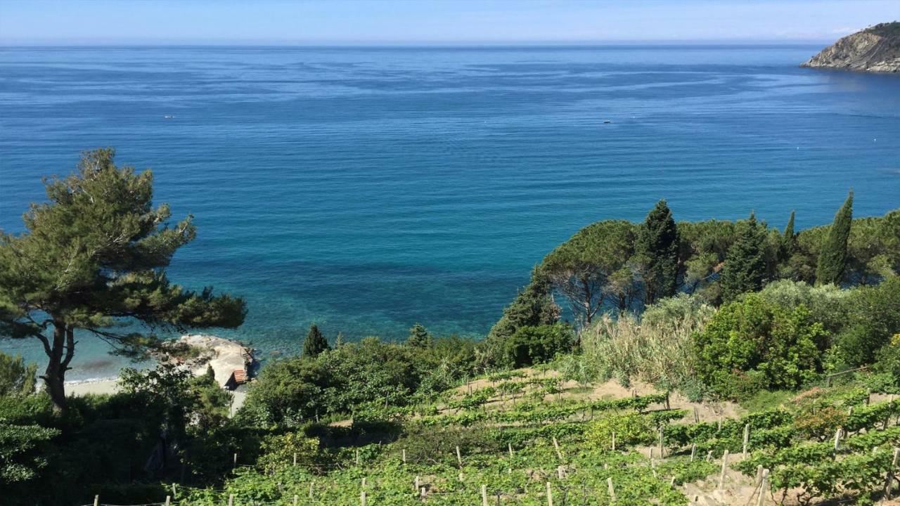 Appartamento A Moneglia, Tra Portofino E Le Cinque Terre Εξωτερικό φωτογραφία